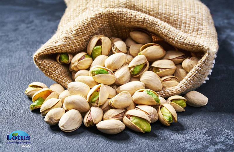 کاربرد ازن در ضدعفونی پسته